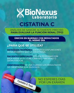 CISTATINA C-100.jpg